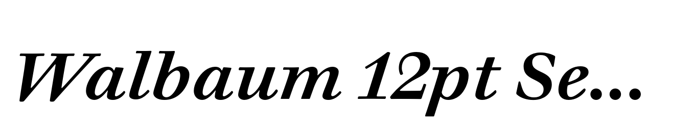 Walbaum 12pt SemiBold Italic